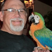 Stephen M Harrelson