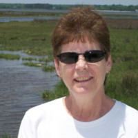 Sue Beall Geever