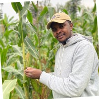 Blaise Mulalisi