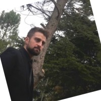 Nassib Saab