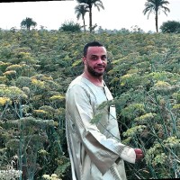 Mustafa Mohammed Elrouby