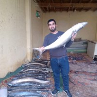 Ahmad shoaib