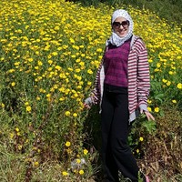 Alaa Arafeh