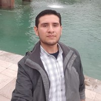 Jorge Luis Flores García