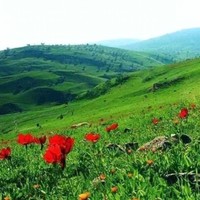 يسري ابراهيم
