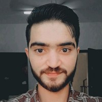 Ali Hamza