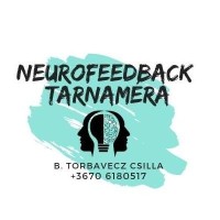Csilla B. Torbavecz