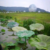 园园马