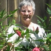 Joyce Workman
