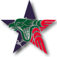 Chamber of Commerce Chapter Guanajuato