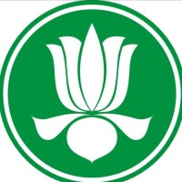 Mai Phan