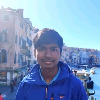 Vishweshwar Senthil Palraj