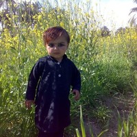 Fazal Wali