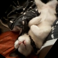 Sékou Konaté Konaté