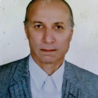 Sayed amro