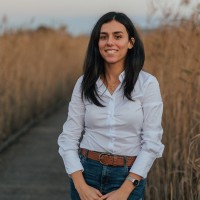 Omnia Felling Rezgui