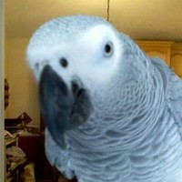 cynthia.myday.com -