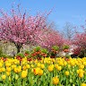SPRING LE