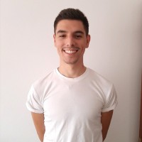 Raúl Domínguez Villar