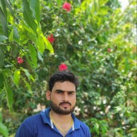 Ronu Singh