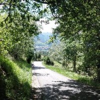 Juan Jose Palacios Antúnez