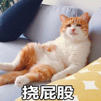 韦世玮