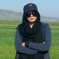 mona Roshan