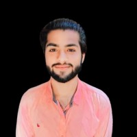 Muhammad Shahmeer Amjad