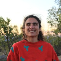 Neus Costa Llesuy