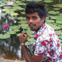 shehan dinuka