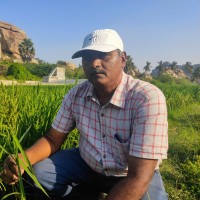Mallikarjuna Hosapalya