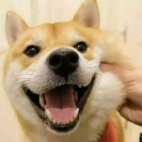 魏晓辉