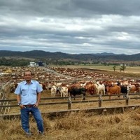 Ronald Siahaan