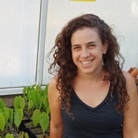 Maya Weinstein