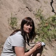 Susanne Thomsen