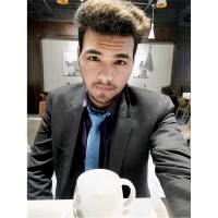 Hamid Malik
