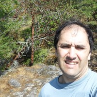 Daniel Lally
