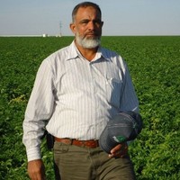 Mohammed esmail
