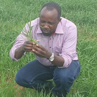 Brian Malambo