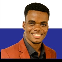 Emmanuel E Ikediashi