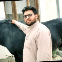 Ramesh Mirzaii
