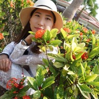 万旭月
