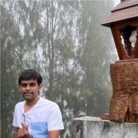 Vijayan M