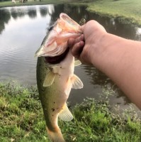 The Bass Bro’S
