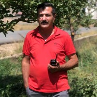 İsmail Yüksek