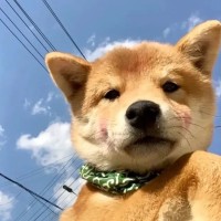 李立群