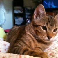 pascale walperswyler