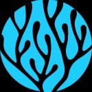 Project Reef Referral Network