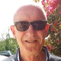 Arie van Nes