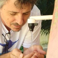 José Flávio